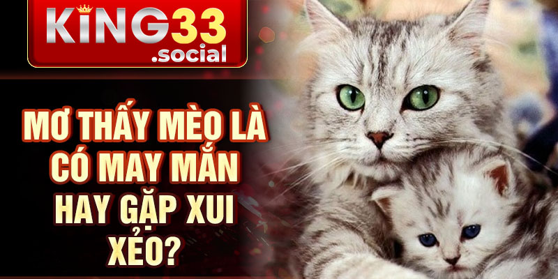 Mơ thấy mèo là có may mắn hay gặp xui xẻo?