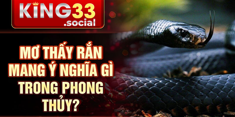 Mơ thấy rắn mang ý nghĩa gì trong phong thủy?