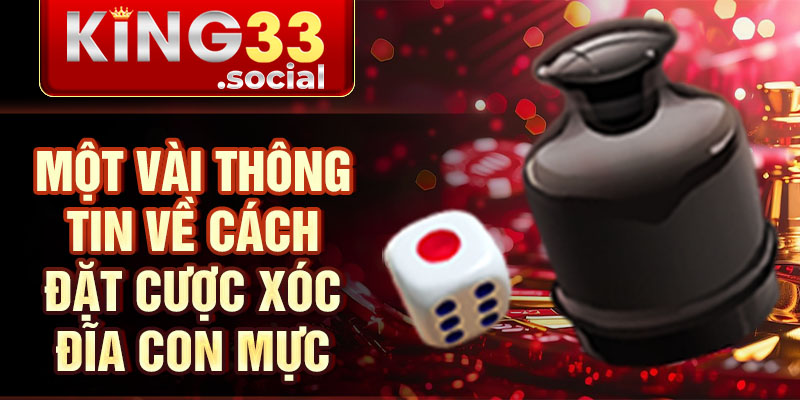 Một vài thông tin về cách đặt cược xóc đĩa con mực