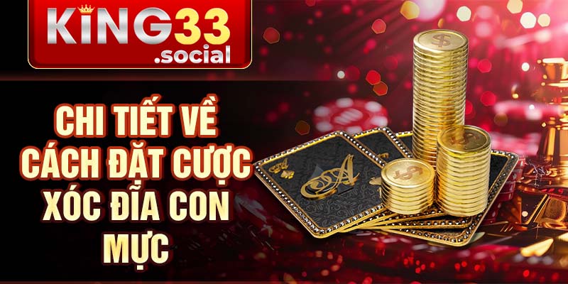 Chi tiết về cách đặt cược xóc đĩa con mực