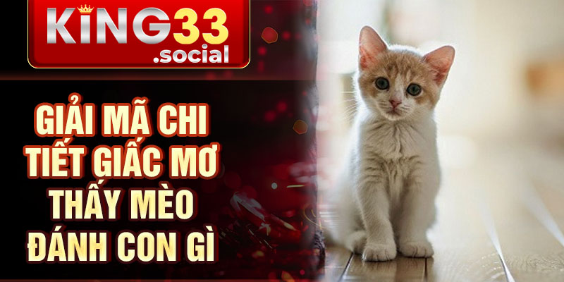 Giải mã chi tiết giấc mơ thấy mèo đánh con gì