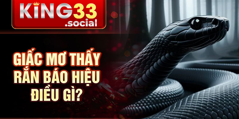 Giấc mơ thấy rắn báo hiệu điều gì?